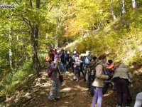 2013-09-30_bieszczady - zdjęcie nr 4