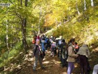 2013-09-30_bieszczady - zdjęcie nr 5