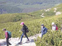 2016-06-06.08_zakopane - zdjęcie nr 58