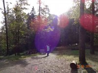2017-09-26.17_wycieczka_bieszczady - zdjęcie nr 52