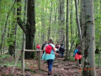 2017-09-26.17_wycieczka_bieszczady - zdjęcie nr 55