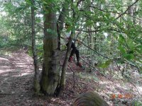 2017-09-26.17_wycieczka_bieszczady - zdjęcie nr 68