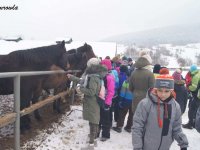 2018-02-13_regietow - zdjęcie nr 5