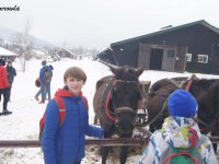 2018-02-13_regietow - zdjęcie nr 8