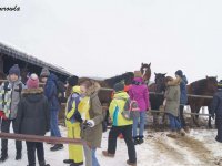 2018-02-13_regietow - zdjęcie nr 11