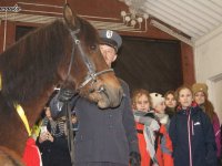 2018-02-13_regietow - zdjęcie nr 13