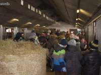 2018-02-13_regietow - zdjęcie nr 15
