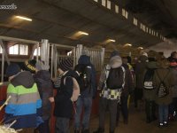 2018-02-13_regietow - zdjęcie nr 16