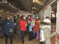 2018-02-13_regietow - zdjęcie nr 17