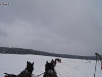 2018-02-13_regietow - zdjęcie nr 33