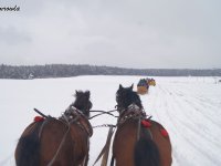 2018-02-13_regietow - zdjęcie nr 34