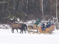 2018-02-13_regietow - zdjęcie nr 39