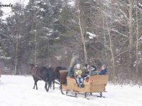 2018-02-13_regietow - zdjęcie nr 41