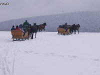 2018-02-13_regietow - zdjęcie nr 52